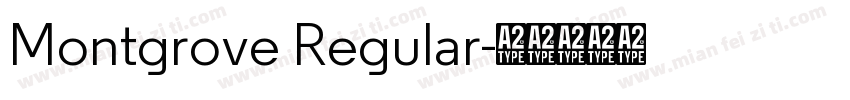 Montgrove Regular字体转换